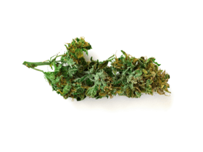 King Size Pre-Rolled Cannabis  Joints EU