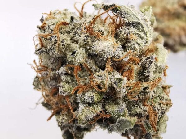 AAAA Blueberry Kush - Image 4