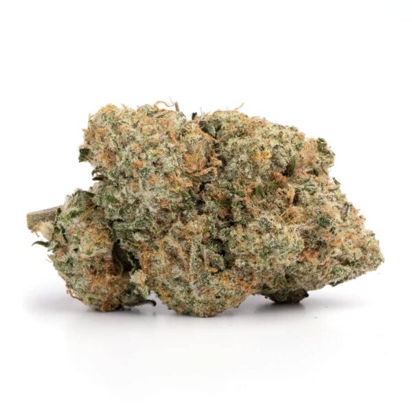 AAA Green House AK-47 - Image 2