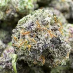 Alien OG Popcorn - Image 3