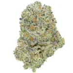 Buy Blue Dream Cannabis EU - Image 5