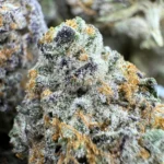 Buy Blue Dream Cannabis EU - Image 3