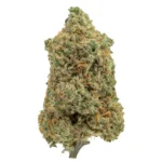 Amnesia Haze - Image 4