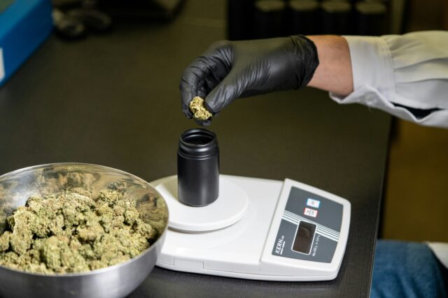 Kupuj marihuanę online Polska – wysokiej jakości olejek, hasz i nasiona konopi z 100% THC