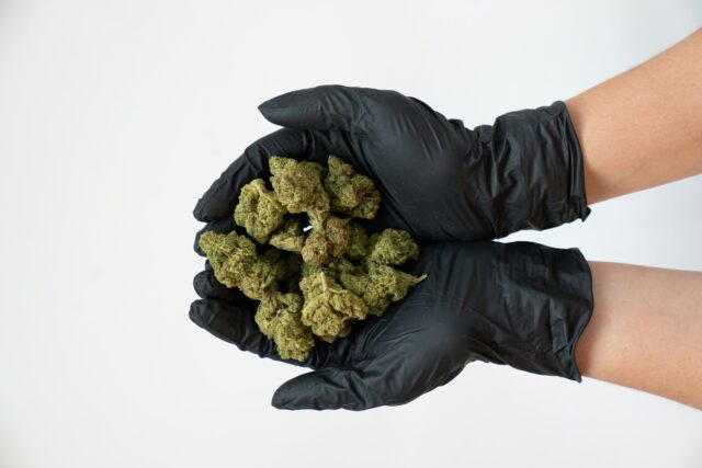 Acheter du cannabis en ligne France – produits de weed 100 % haute qualité, huile de cannabis, hash et graines avec livraison rapide