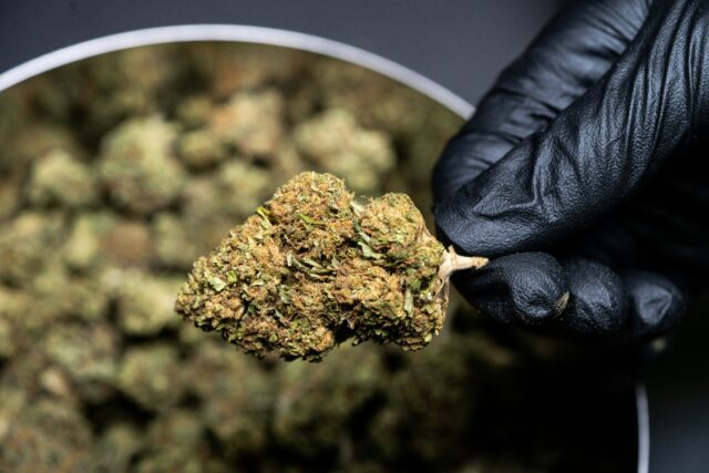 Acheter du cannabis en ligne en France – livraison rapide de cannabis, huile, graines et weed à haute teneur en THC