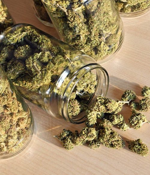 Dried and trimmed cannabis buds in a glass jar